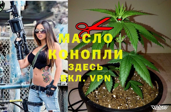 мет Пестово