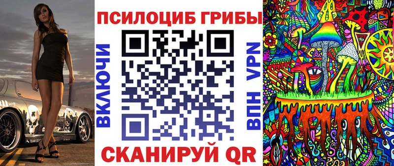 купить  цена  Чернушка  блэк спрут маркетплейс  Галлюциногенные грибы MAGIC MUSHROOMS 