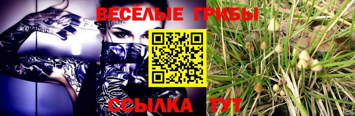 Галлюциногенные грибы ЛСД  Вход с VPN  Чернушка  Псилоцибиновые грибы ЛСД 
